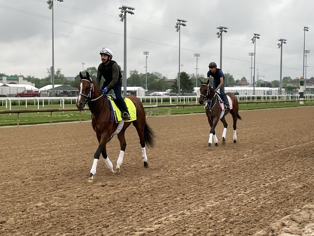 Stablemates Mystik Dan and Thorpedo Anna. #KyDerby #KyOaks