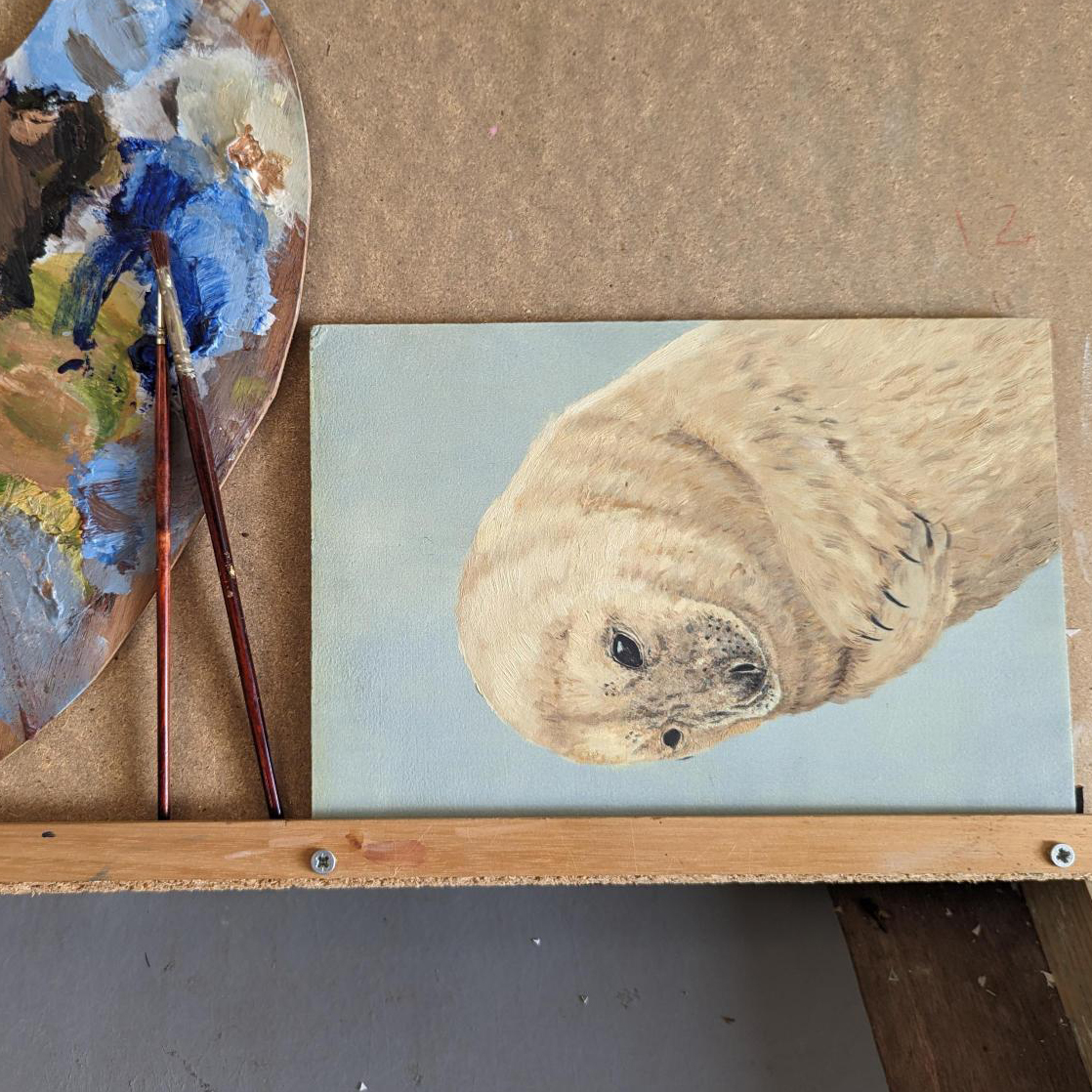 Fancy this seal painting in your home? 🖼🦭 Commission me to finish it & I'll donate 10% from the sale to the brave seal rescue dive team at @BDMLR 🤿 ✉mail@robertefuller.com if you are interested