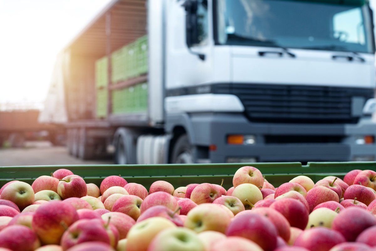 The second phase of the Border Target Operating Model (#BTOM) has entered force today, with new controls being implemented on #imports of sanitary and phytosanitary (#SPS) goods. Read our full report of the situation below. 👇 ow.ly/pw5R50RsllH