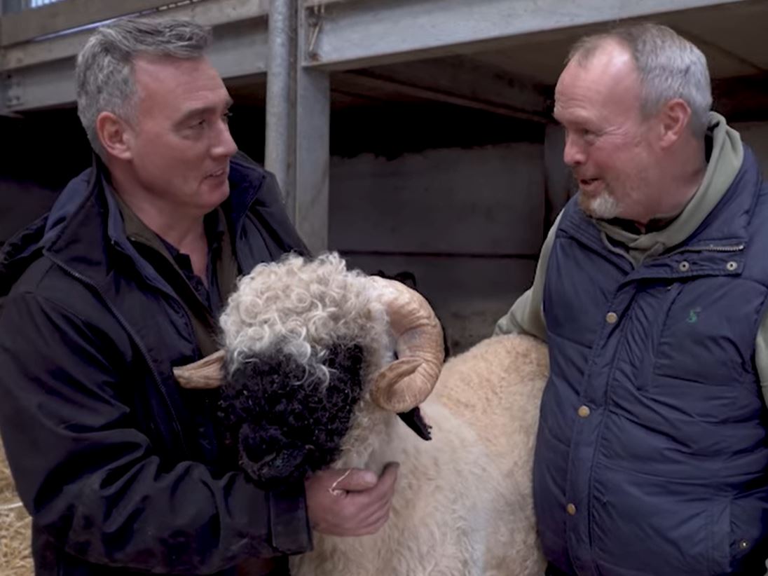 One of our favourite tups we ever had, Grizzly Bear, will be appearing on our memory lane show A Yorkshire Farm. Be sure to tune in to @channel5_tv at 7pm Thursday. Remind yourself of his journey to Cannon Hall Farm with this video: facebook.com/CannonHallFarm…