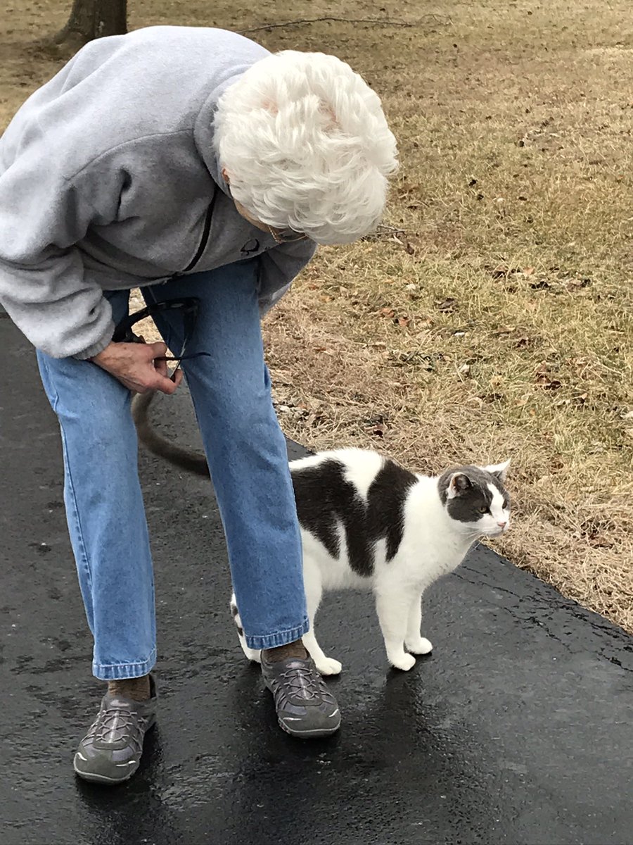 ❤️Tuesday’s Gettin’ Back to Normal Midwest report: Sunny, 50s…and Prince has departed! It’s just you and ME, Gran….lets Go ! @JoyOfCats @PincyCat @cat01cat01cat01 @LordGraydon @chigal111 @SkittlesFriends @Spicyandfriends @CatladyLovinFL @ThePhilosopurr