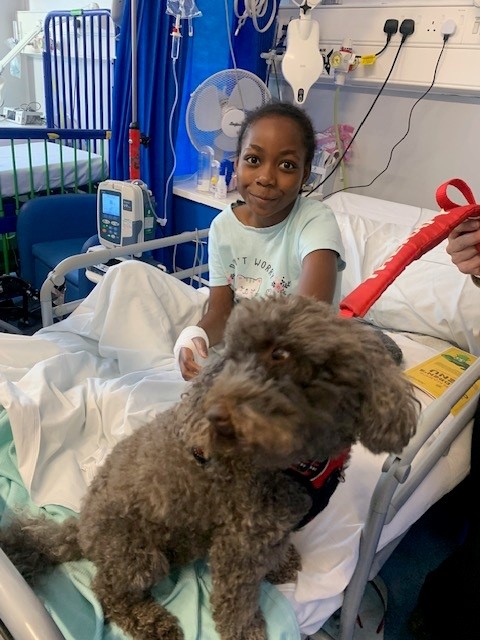 Her name means ‘Star’ and Stella really is one ⭐ Stella, our cute therapy dog, visited young patients and their families on our children’s ward to give out furry cuddles. Delighted Janelle, pictured, said: 'Stella made my pains all go away.' Thank you Stella owner Elena ❤️