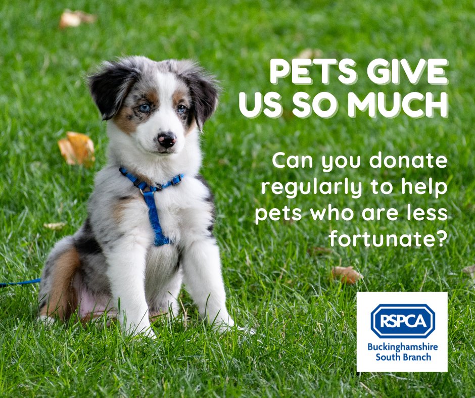 If you are able to donate a bit each month to us, you can do so via Give as You Live.
bit.ly/43J6mbb 
Thank you for thinking of the animals who are less fortunate.
Together, let's end animal suffering in south Bucks.
#helpushelpthem
#charitygiving
#charityfundraising