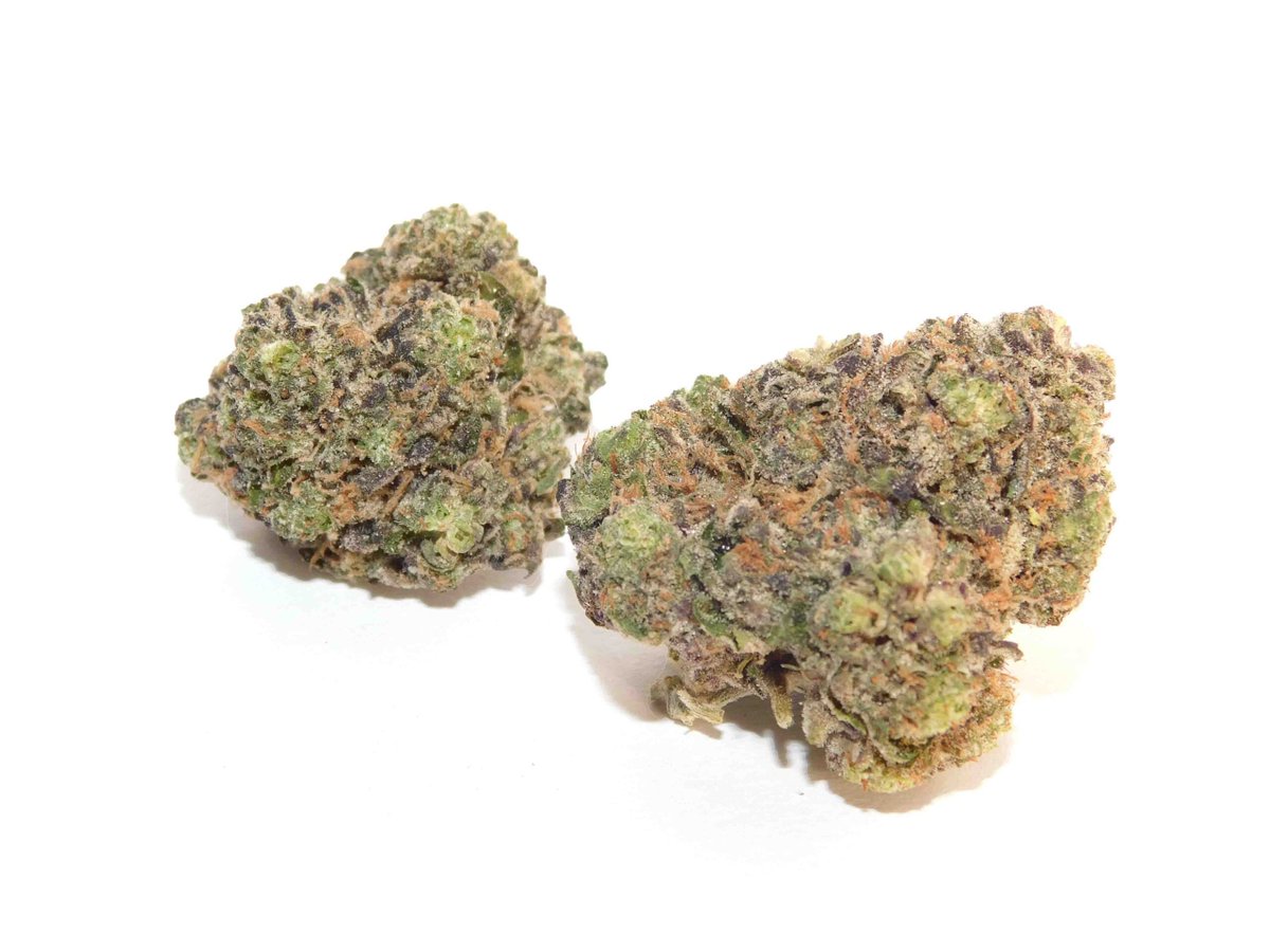 Purple Nurple Strain – Indica Dominant Hybrid Flower #cannabiscanada buff.ly/49CCjoq