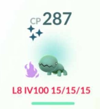 When you get a shadow shundo, you count your lucky stars because it's not everyday you get one!!! #Shadow #Shundo #Shiny #Trapinch #HolyGrail #RideorDie #PokemonGoRideorDie