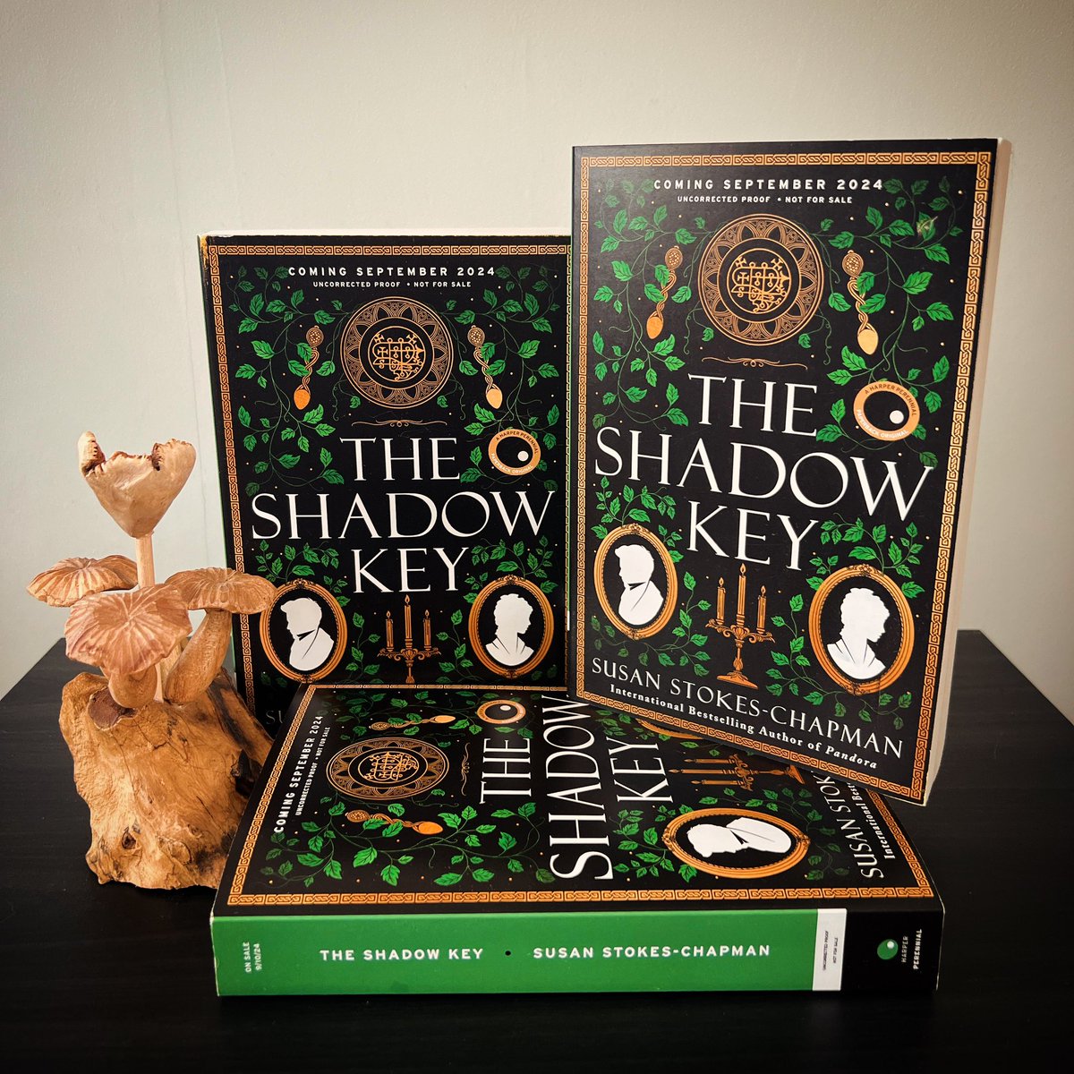 Did I mention the US Galleys of THE SHADOW KEY are making their rounds across the pond? Out Sep 10th with @HarperPerennial, already available to preorder! Can I have a 🇺🇸 in the comments to see how many American followers I have? There may be a little giveaway coming your way …