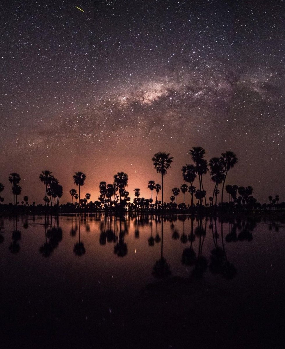 Bañado La Estrella, Formosa
Fue elegido como una de las 7 maravillas naturales de Argentina.
📷 pablo m cordoba