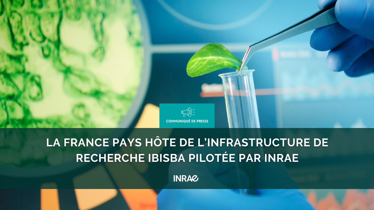 #RP_INRAE Ce printemps, la France est désignée pays hôte de l’infrastructure de recherche européenne IBISBA dédiée à la biotechnologie industrielle. La Commission européenne l’avait déjà reconnu récemment comme un levier essentiel pour l'innovation dans les biotechs en Europe.…