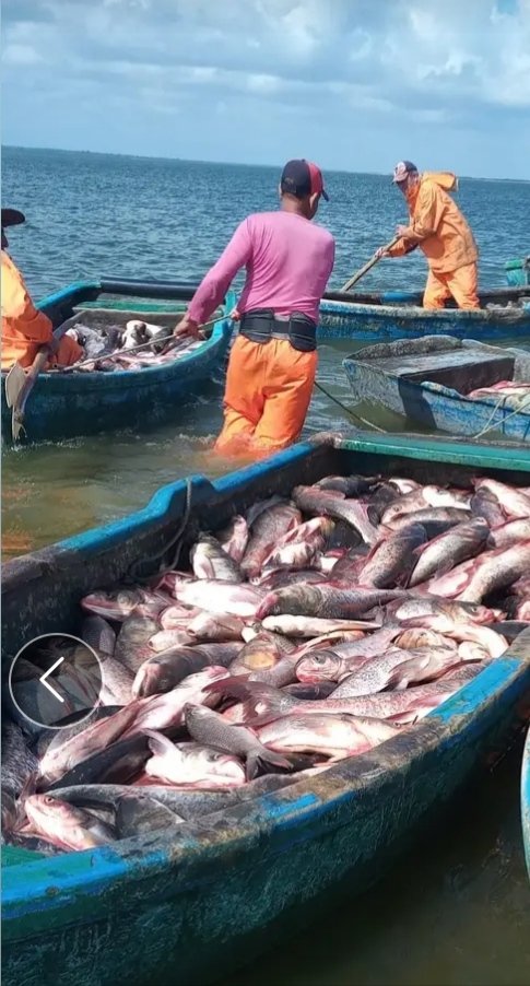 Felicitaciones para el colectivo de pescadores de las UEB de Piscra junto a todo el equipo de dirección por haber cumplido en el día de hoy el plan de captura del mes de abril. #GenteQueSuma #PescaPorCuba