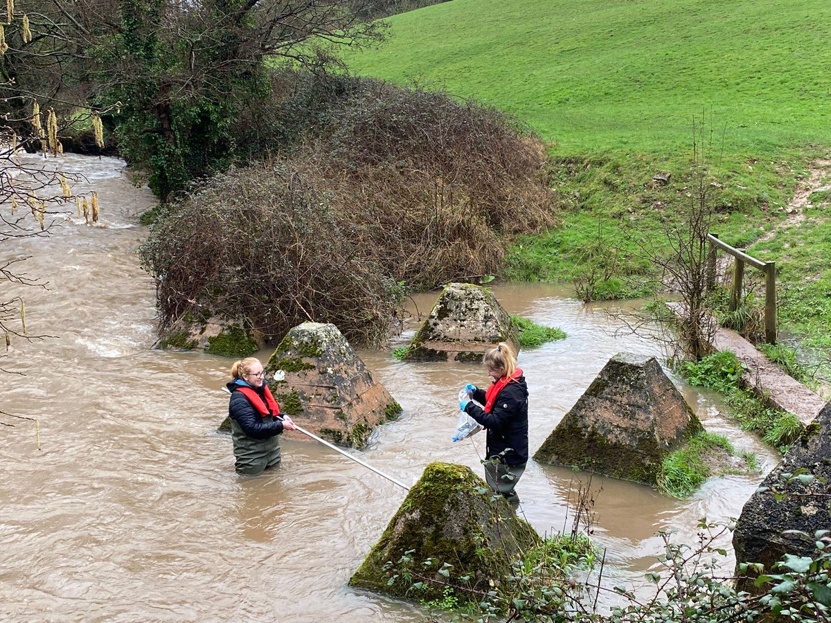 YorkshireiCASP tweet picture