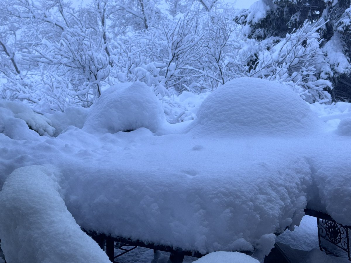 forensicmike1's tweet image. We got walloped sw of the city #abstorm 
hoping power will be back soon 🥶