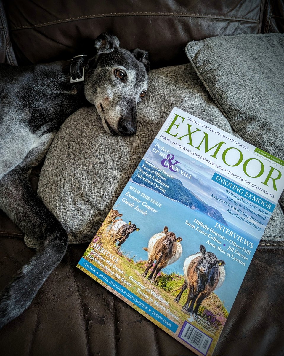 I've been published!! Kindly given the opportunity to write a cycling feature for @ExmoorMagazine currently being delivered to local shops and available online to buy and subscribe. #exmoor #cycling