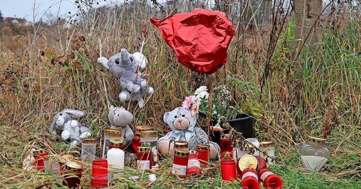 Wurde eine junge Frau in Pasewalk heimtückisch ermordet? Prozess gegen Mitbewohner startet ostsee-zeitung.de/mecklenburg-vo…