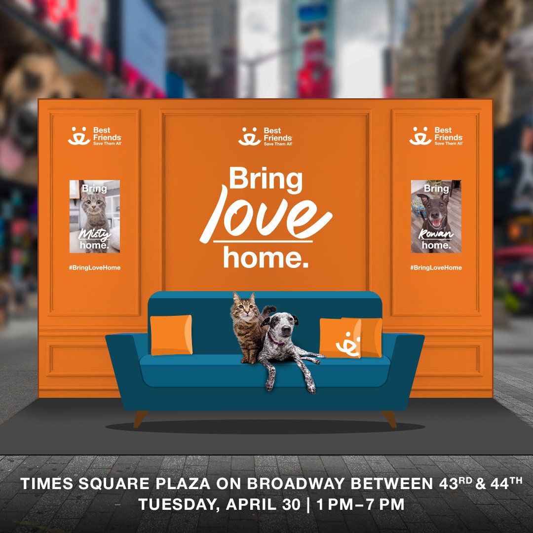 Today is the day! If you're in the New York City area, join the @bestfriends team in Times Square to #BringLoveHome.
