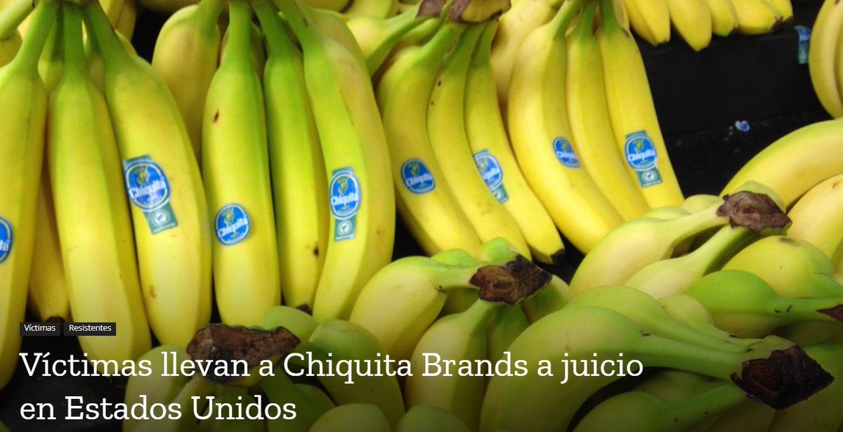 Luego de 17 años y tras superar varios obstáculos, un grupo de víctimas de paramilitares logró que se iniciara un juicio civil contra Chiquita Brands en una corte de la Florida. Leer en: bit.ly/4bffiZD.