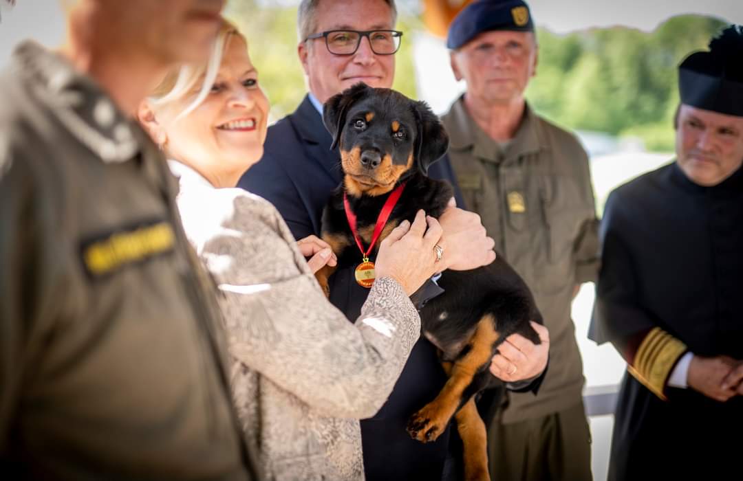 Beim Militärhundezentrum Kaisersteinbruch wurde heute ein Rottweiler-Welpe getauft. Und weil es nur einer war, wurde er 'Einar' getauft. 😉 #Bundesheer