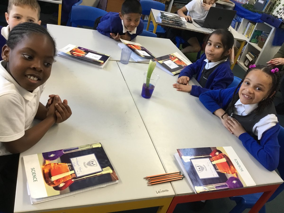 3Lime_woodside tweet media