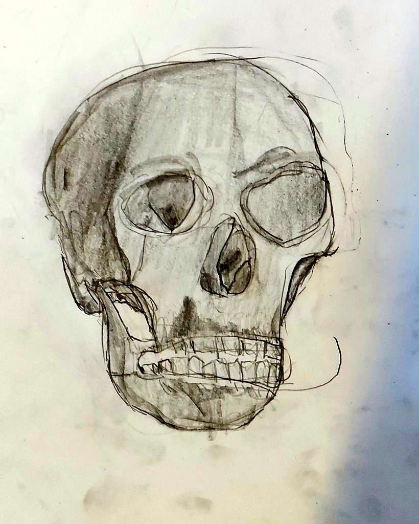 This week during Year 5 + 6 portrait club at @CCJacademy, we delved deeper into our observational skills by studying the human skull to better understand the position of our features. What do you think of their lovely outcomes? #WeAreLeo #portraitclub #Primaryart