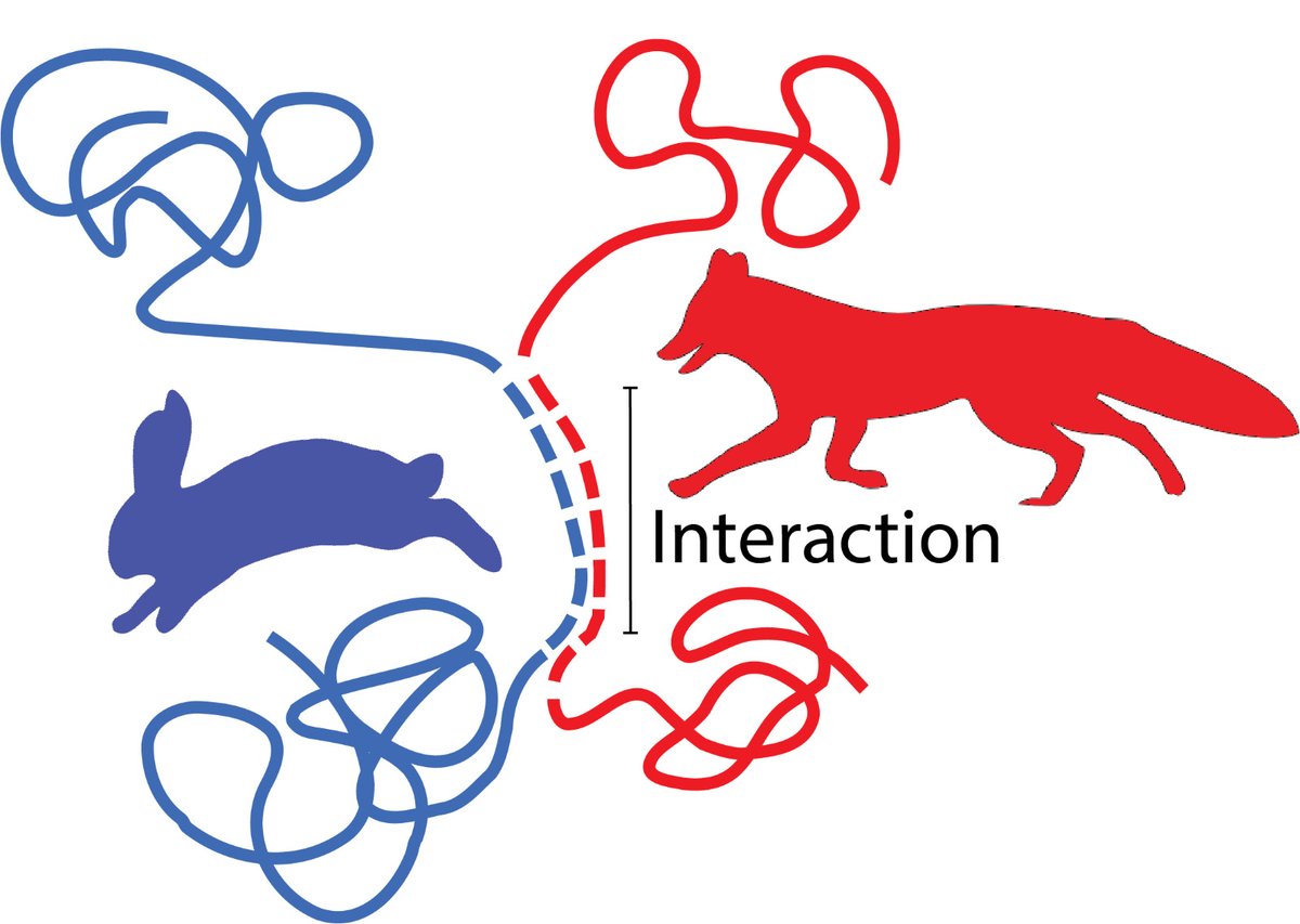 Want to know pros and cons of applying different statistical methods to infer #interactions from the data on #moving individuals?🦓🦁 ➡️doi.org/10.1111/2041-2… @MethodsEcolEvol #Rstats #animalMovement