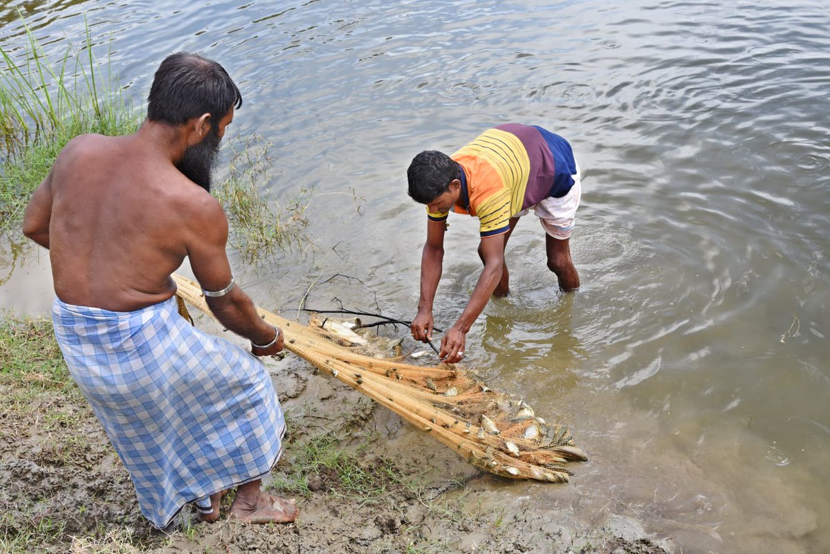 Discover how @UNDP #Bangladesh is empowering climate-vulnerable communities in the Small Islands to develop resilient livelihoods and emergency response systems to combat #ClimateChange. With support from @adaptationfund & GoB 🇧🇩, we're committed to #ClimateAction & ensuring we…