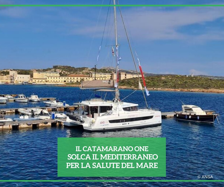 È salpato dall'isola di La #Maddalena il catamarano One, l'imbarcazione del progetto M.A.R.E 2024, acronimo di Marine Adventure for Research & Education, per la ricerca scientifica e la promozione della salvaguardia del Mar #Mediterraneo. #ANSAAmbiente ➡️ bit.ly/3y0JjOM