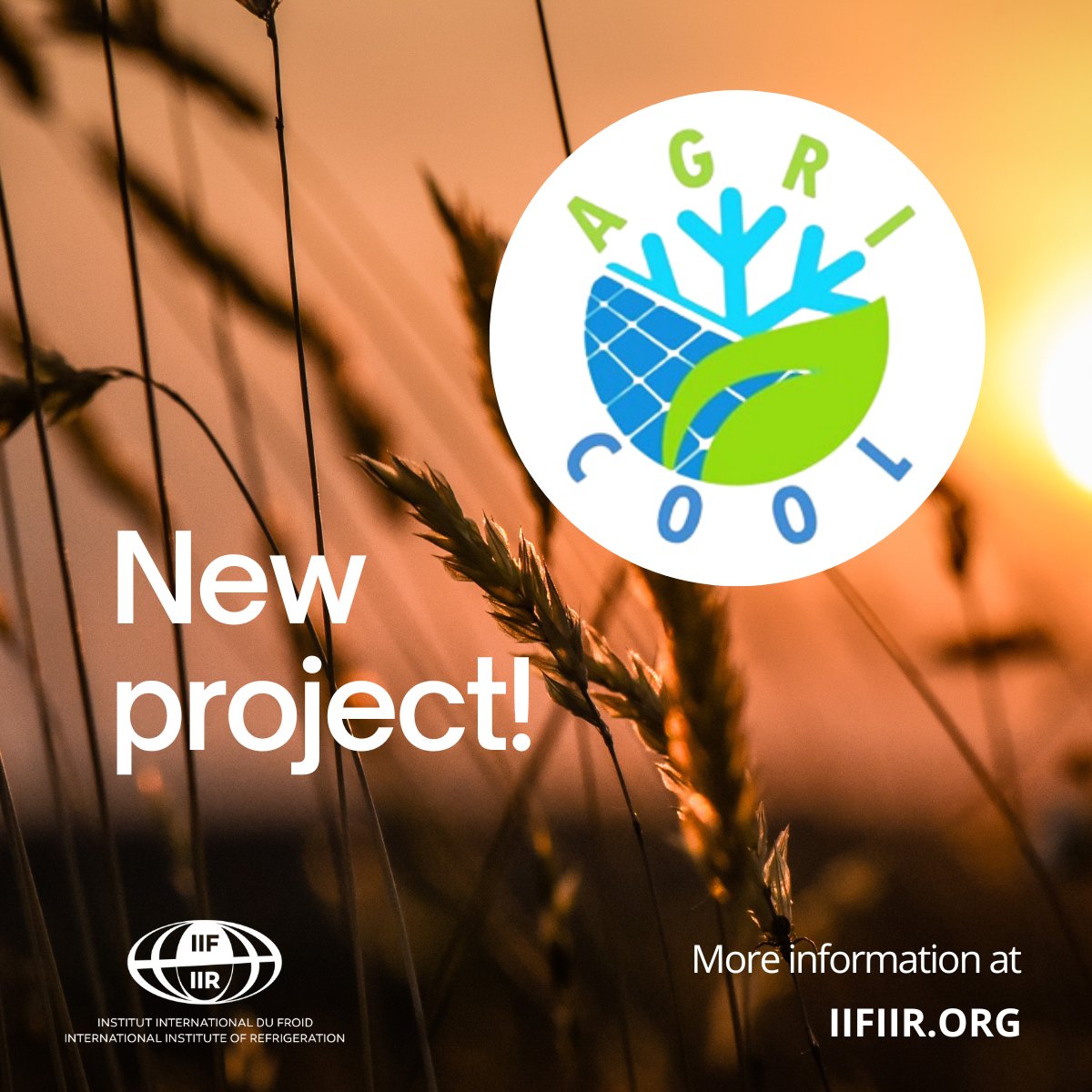 The IIR joins the AGRI-COOL project! Advancing sustainable AGRIculture through off-grid energy and COOLing solutions in africa will revolutionise food storage and cooling methods in regions with limited access to electricity. Learn more here 🔗bit.ly/4dclDa9 #AGRICOOL