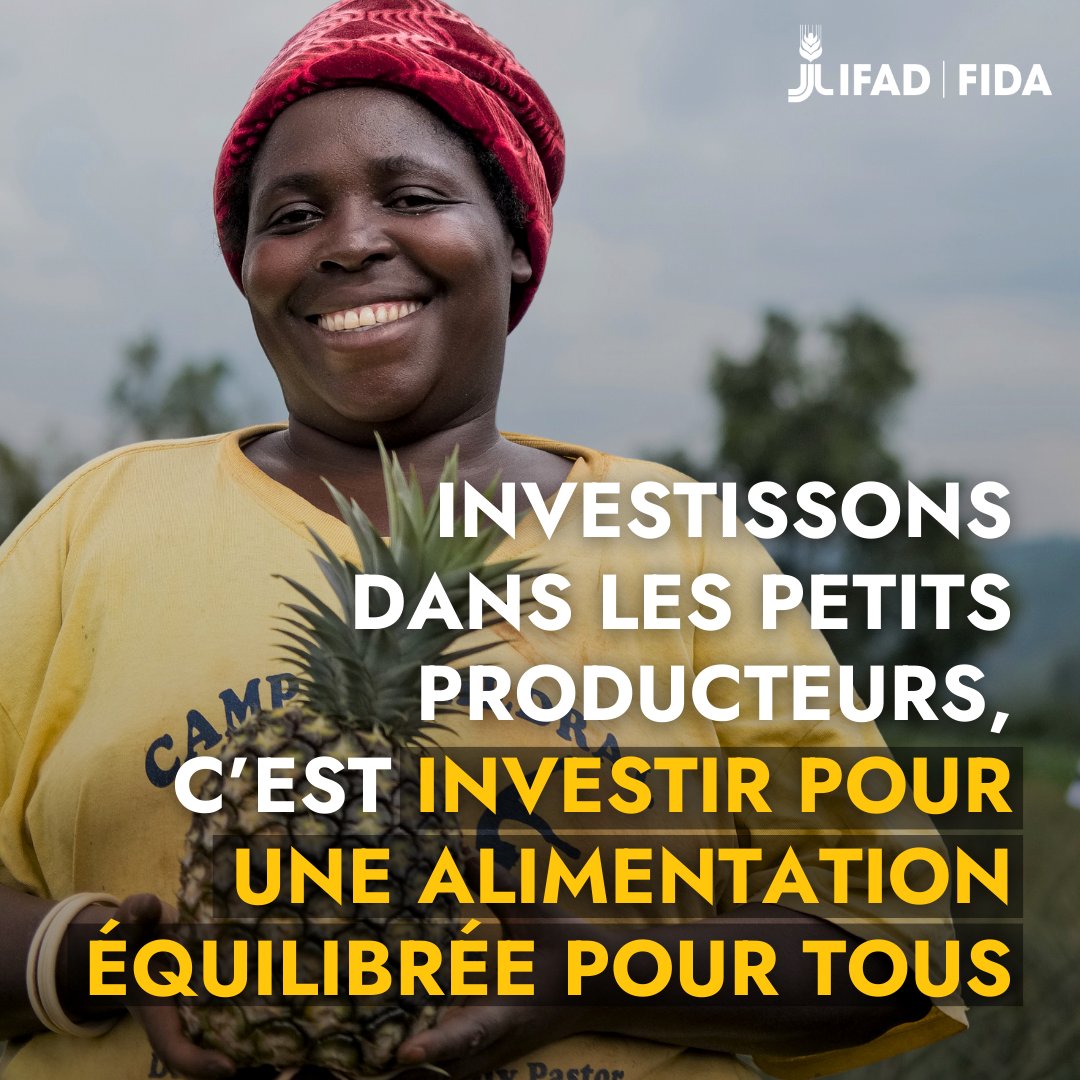 Nous n’atteindrons pas l'objectif #FaimZéro sans les petits producteurs. Ils cultivent déjà 1/3 de la nourriture mondiale. Imaginez ce que ces agriculteurs et ces agricultrices pourraient réaliser avec les bons investissements 🌾