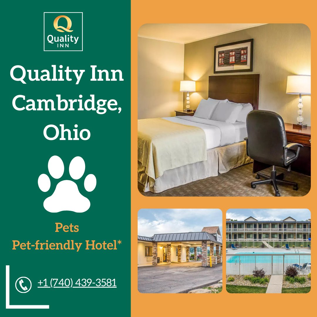 Don't forget to bring your pet in our pet-friendly hotel in Quality Inn Cambridge, Ohio #QualityInnCambridgeOhio #PetFriendlyHotel #ComfortableBeds #ModernAmenities #AffordableLuxury #TravelAccommodations #HospitalityExperts #RelaxationDestination #OhioTravel #PeacefulRetreat