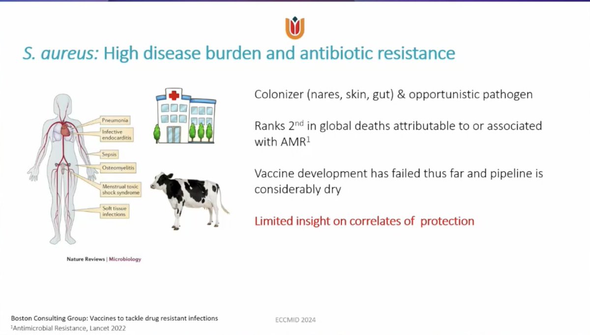 #ECCMID2024 This slide on #Staph vaccine development feels like it could have been shown with only minor amendments in some of the #StrepA sessions. Amazing what we still dont know about such major pathogens.