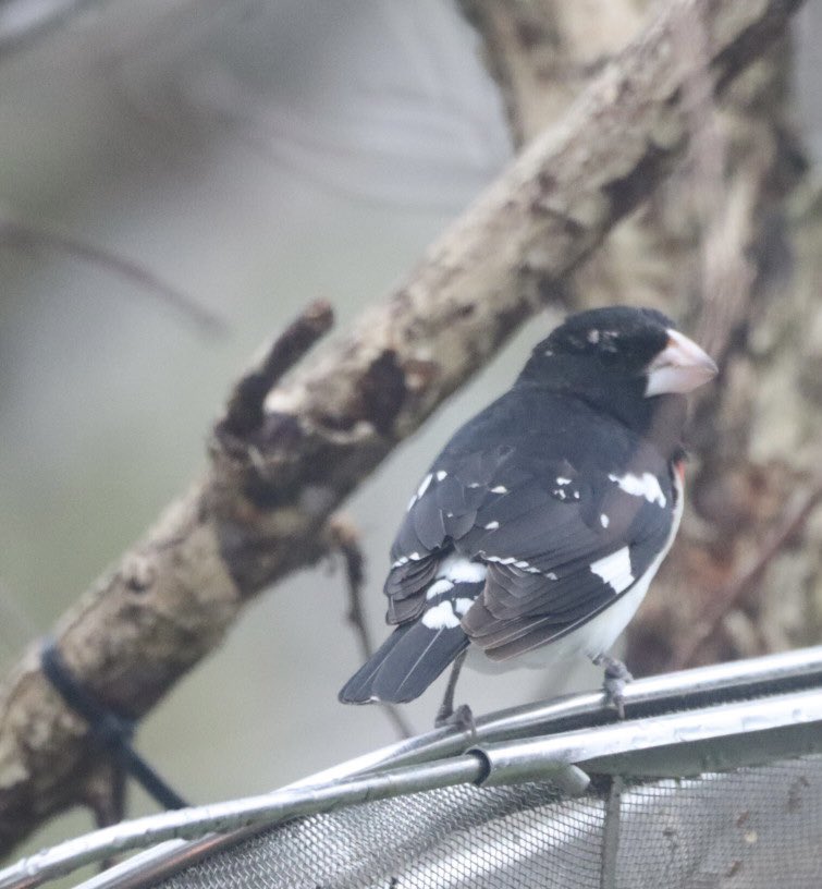 Catharine tweet media