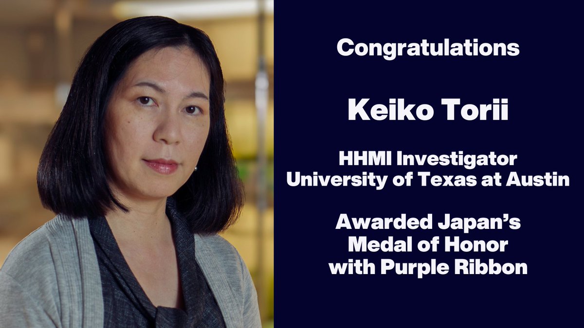 The government of Japan is honoring HHMI Investigator @KeikoUTorii with a Medal of Honor with Purple Ribbon. The award is given to those who made extraordinary contributions to the arts & sciences. The Emperor of Japan will confer the honor at the Imperial Palace on May 13th.