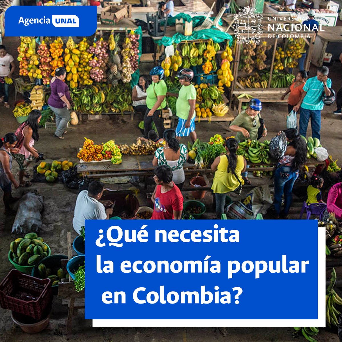 #PeriodicoUNAL | ¿Cuál es la importancia de la economía popular en el país? Expertos de la @UNALOficial analizaron esta categoría, sus necesidades y las sugerencias de reconocimiento en Colombia, a través de políticas públicas. Detalles aquí: acortar.link/Ub8PV4