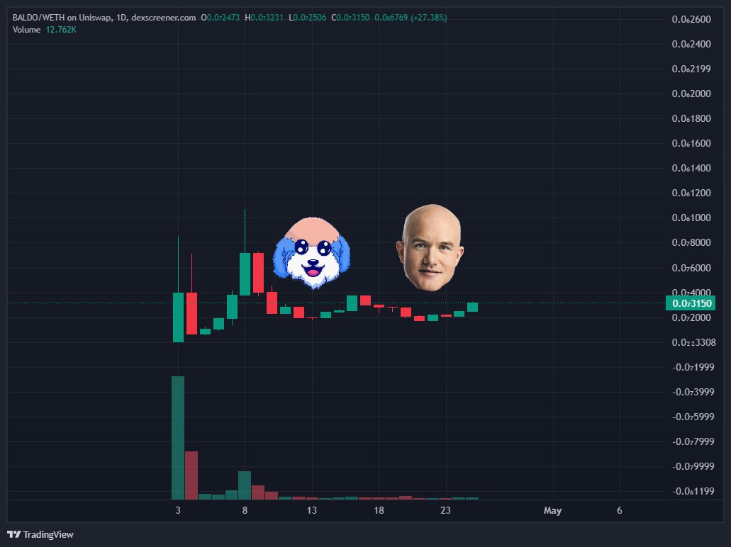 BALDONIZED tweet media