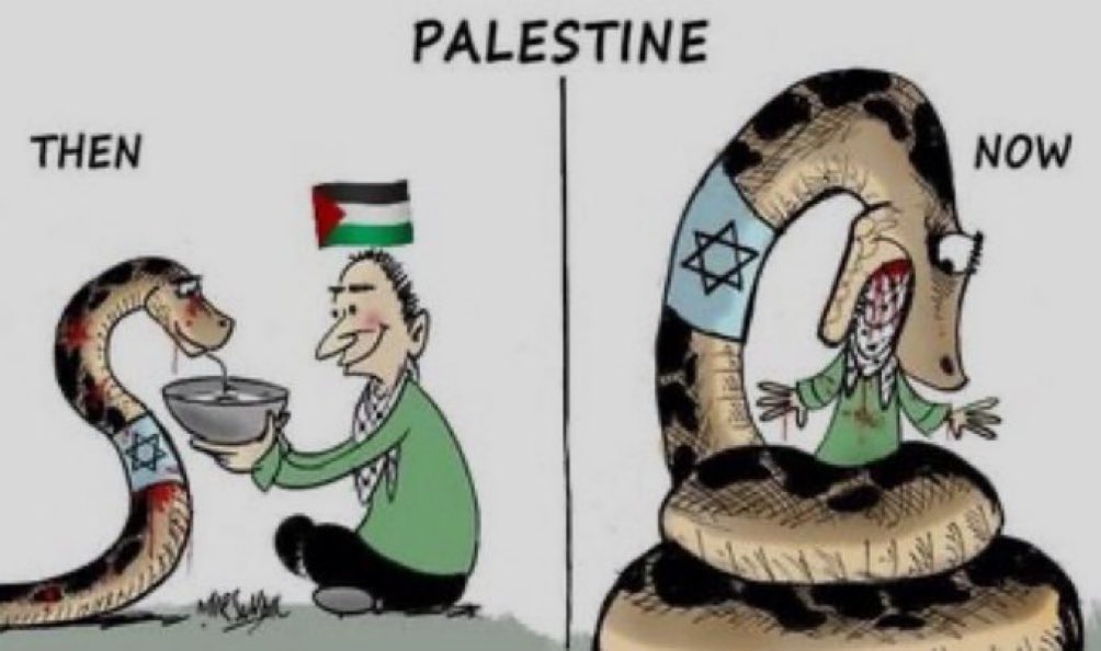 @ClareDalyMEP @jsternweiner @harrybrowne @AcaforPalestine @orbooks @vonderleyen Summary of the Palestine catastrophy.