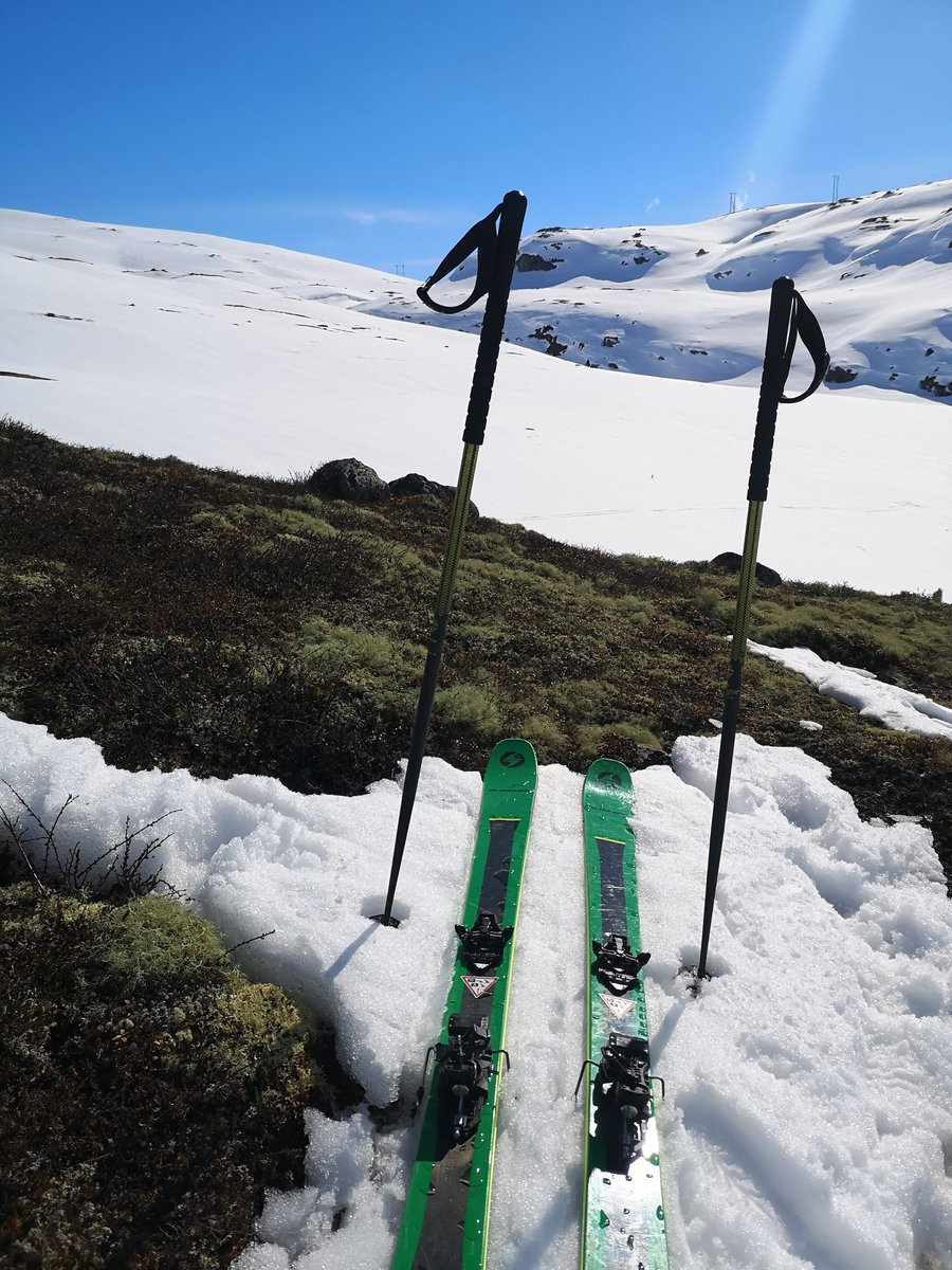 @BorsFageln Håller med och detsamma gäller Norge, nedan från Hemsedal i helgen. Få kala fläckar över trädgränsen.