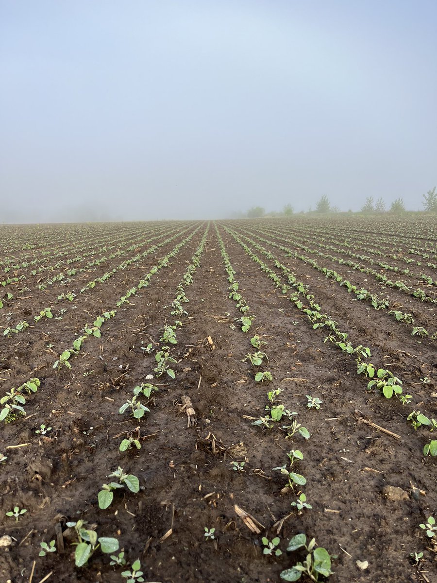 March 🌱 are looking strong <a href="/Channel_KY_SIN/">Channel S.IN & KY</a>