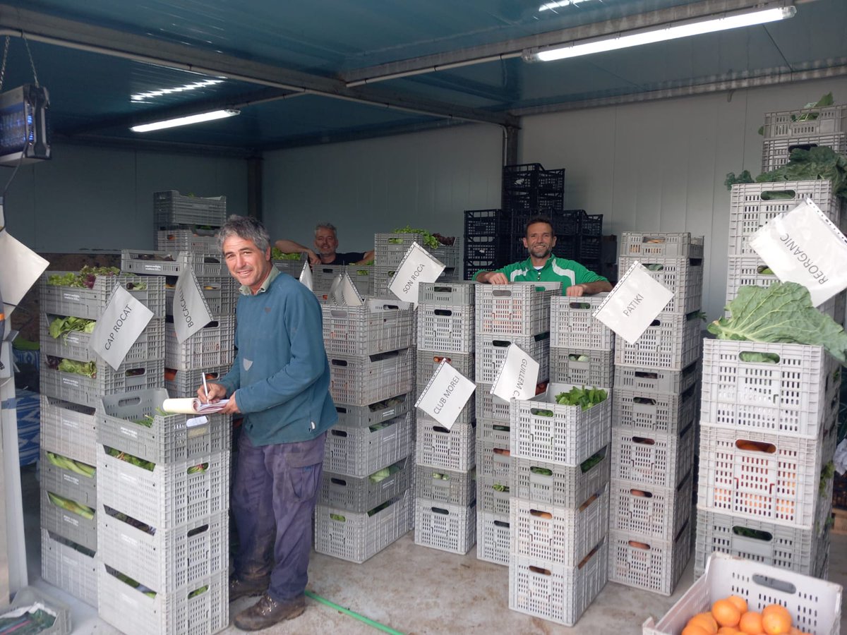 La nostra producció ecològica i local arriba també a cinc escoles de Mallorca. Són Roca, És Molinar, Santa Catalina, el Liceu (Palma) i C.Pere Rosselló (Alaró). Seguim millorant i avançant, clar que es possible!