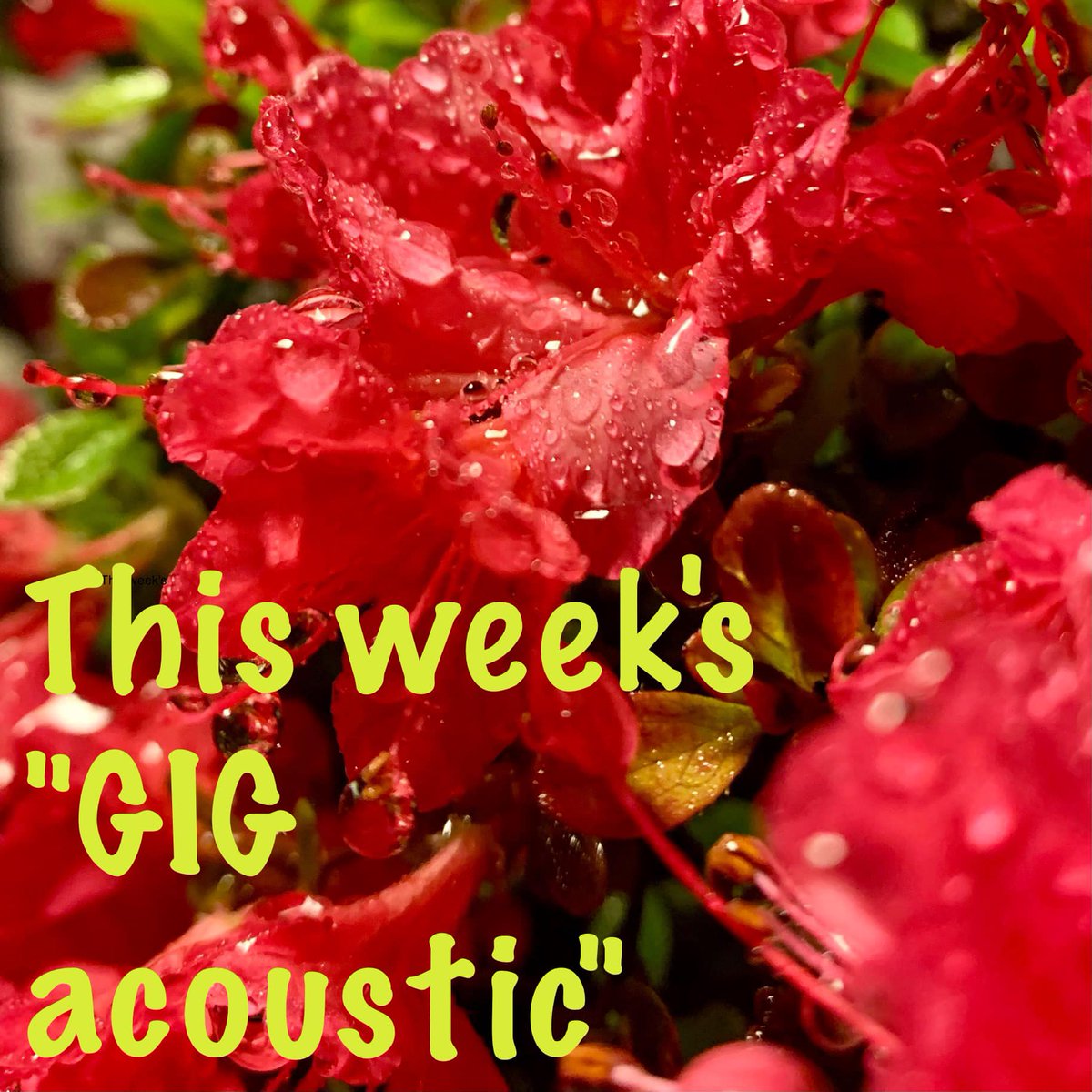 GigAcoustic tweet picture