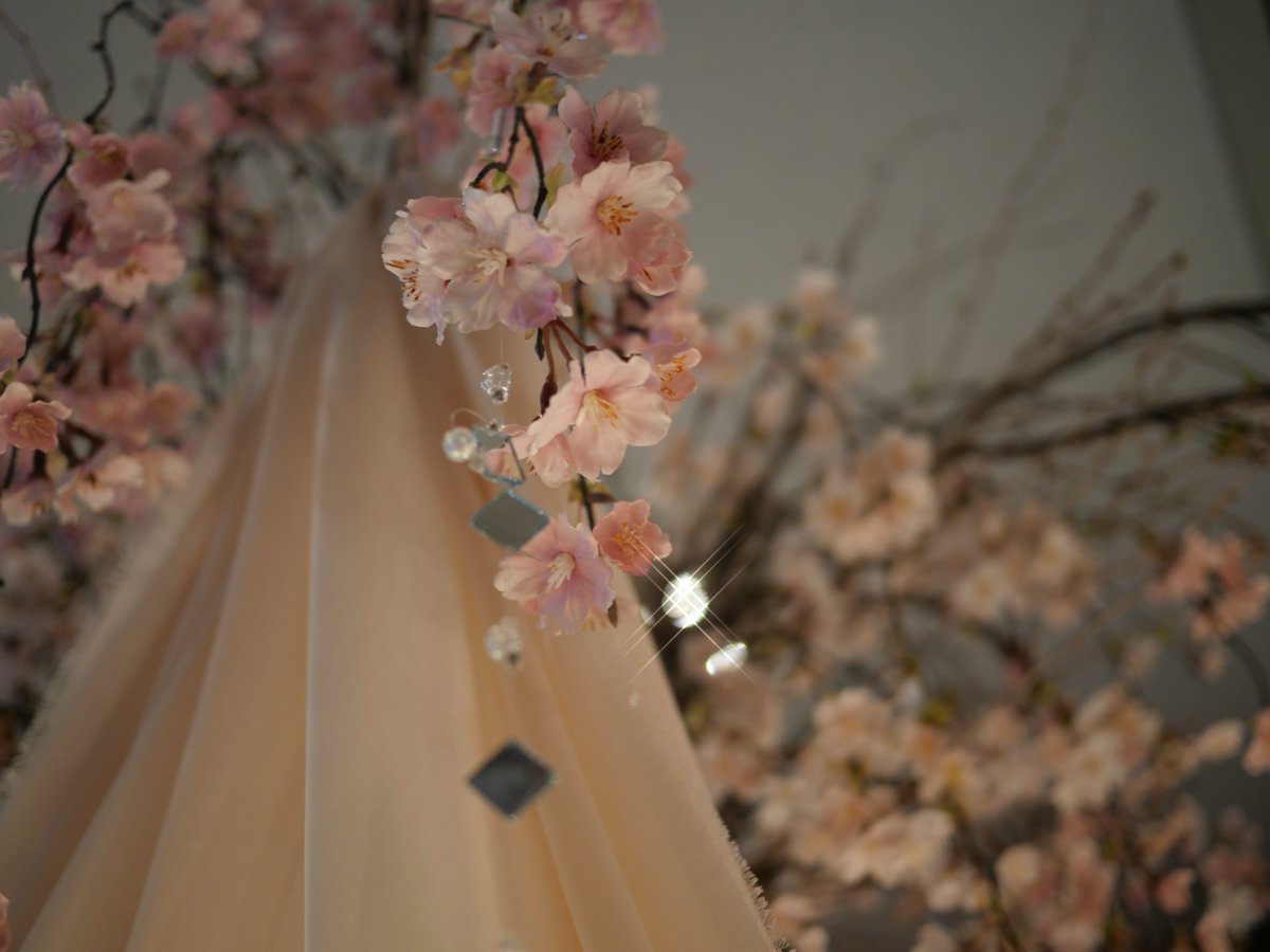 #ANACP札幌お花見
お花見🌸
外は寒い日が続いてるが
ホテル内はポカポカでした♪
可愛く撮れてるかな