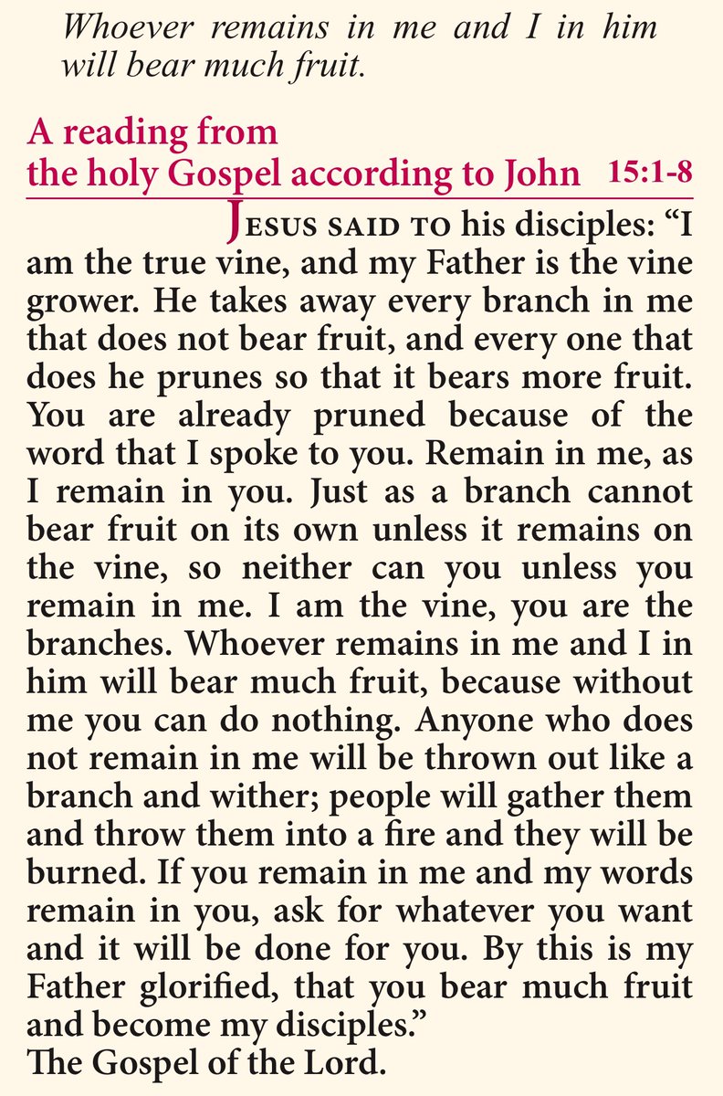 @Rumble_Nuts @UMassBoston @HarrisonHSmith @HelpStopHate @FullMetalMAGA @RightWingWatch Being a Christian is a work in progress as the Holy Spirit builds inside you. God is the preeminent Wino. Jesus are His vines. Christians are the branches of the fruit bearing tree. Sometimes we need pruning. This guy is a spiritual tard.