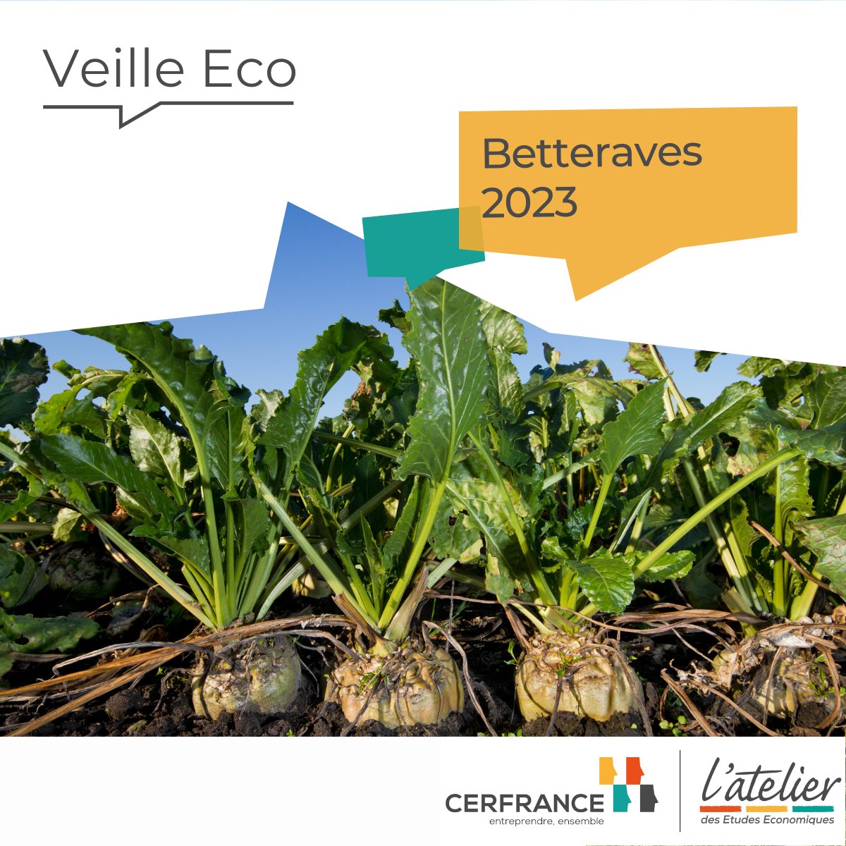L’Atelier des études - AEE tweet media