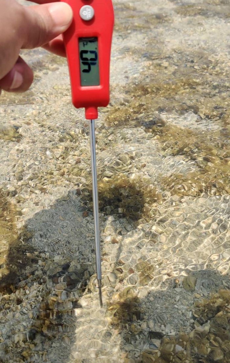 Sea water in some spot in Thailand is getting as hot as some hotsprings