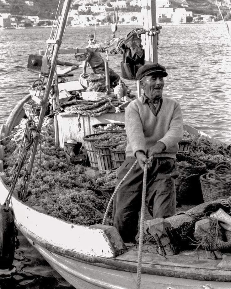 Amorgos, Katapola. (1960s) 
A caique laden with grapes arrives at port at sunset. 

Robert McCabe photographer