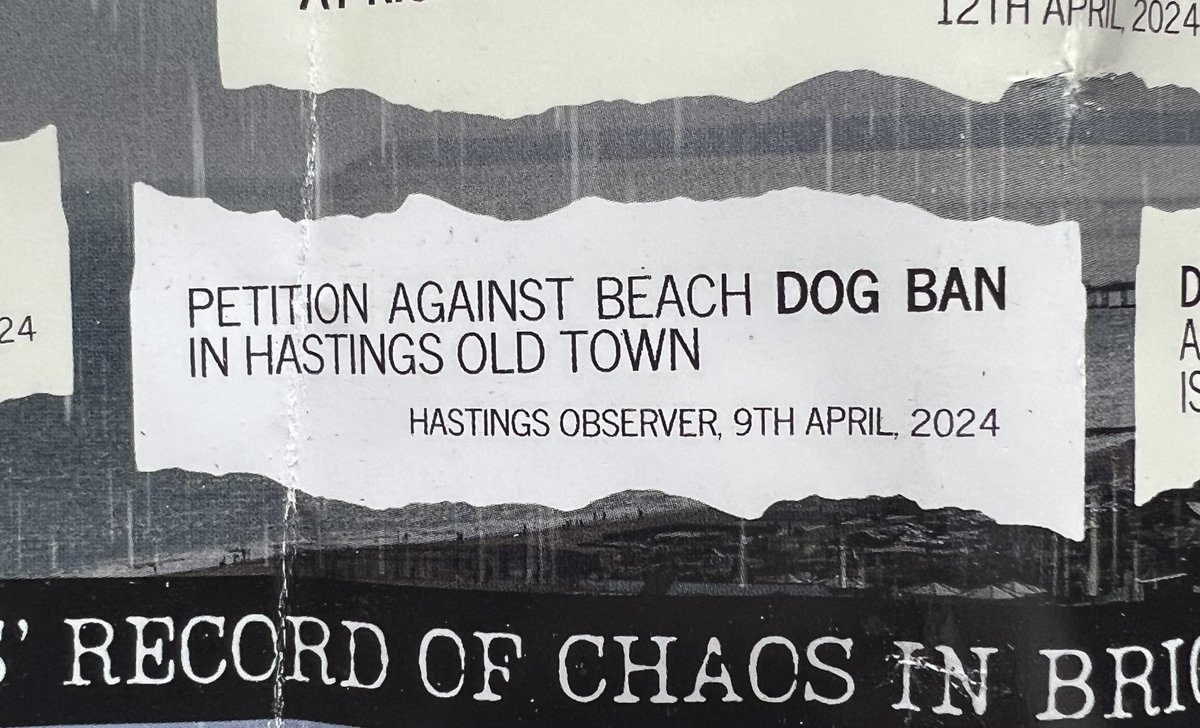 AnneP67's tweet photo. @HastingsRyeLab 
In your flyer you mention Dog beach ban petition. To be clear the petition is against the new PSPO order and the way it was implemented. As this was signed off and made law by Labour under Judy Rogers leadership, I think you are the ones who have let us down. https://t.co/qVx3eziCvd