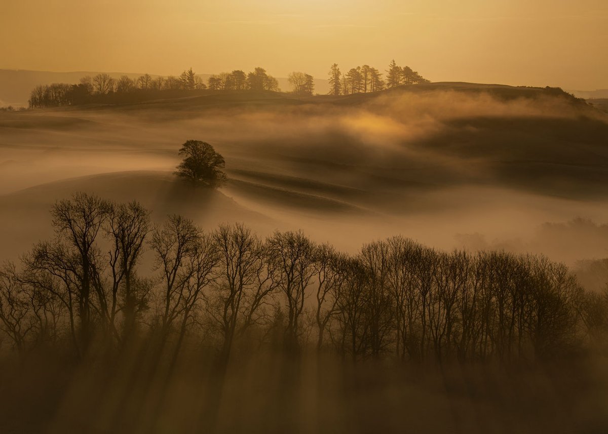 Last chance to enter* 👉 awards.bipp.com/monthly-image-…

© - Neil McKellar

*Only BIPP members are able to enter our monthly competitions

#Monthycomp #Aprilcompetition #BIPP #Awards #TeamGB