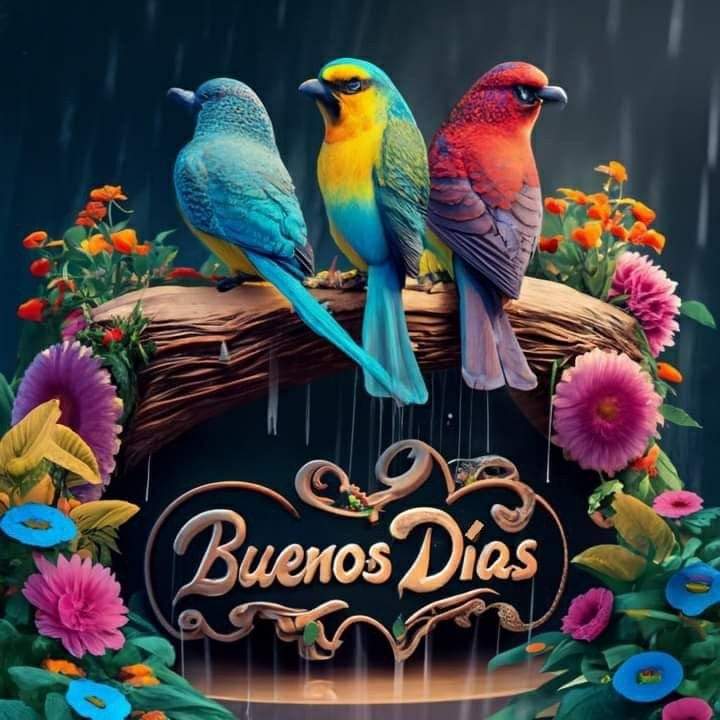 Pilar León (@pilarleon28) on Twitter photo 