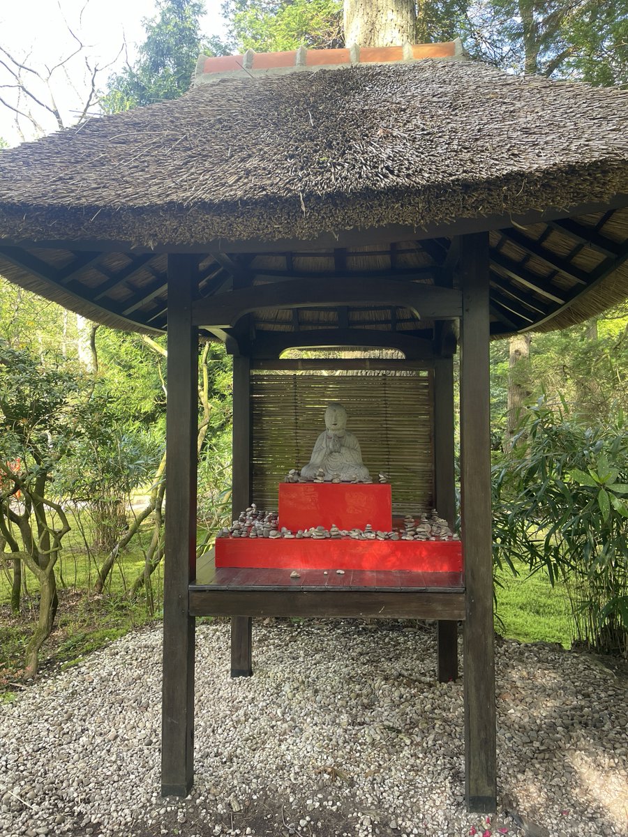 🇯🇵 The Japanese Garden is now open! It's the eyecatcher of #Clingendael Park 🌺 Due to its delicate nature, the garden is only open until June 9th. The Japanese Garden was laid out in the early 20th century by the then owner of the Clingendael Estate, Marguerite M. Baronesse…