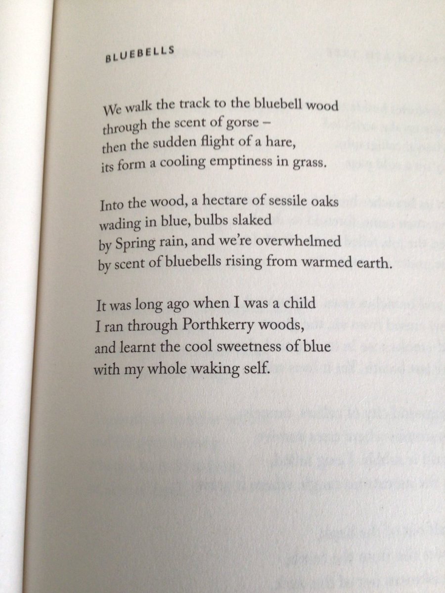 I like this poem of spring sensuousness by Gillian Clarke from her ⁦@Carcanet⁩ collection The Silence. ‘…with my whole waking self.’