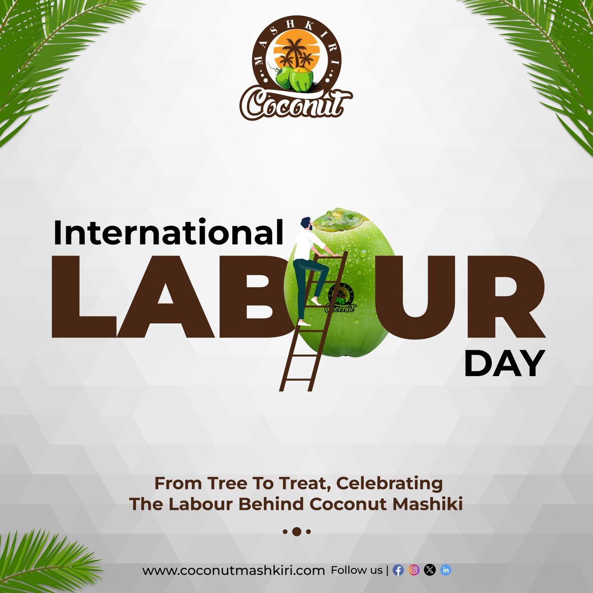 🥥✨ Let's honour the hardworking individuals who bring us the creamy goodness of coconut mashikiri, from dedicated farmers to skilled processors and workers.

HAPPY LABOUR DAY!,

#LabourDay #CoconutMashikiri #FarmToTable #AppreciateTheLabor #HardWorkPaysOff #FromTreeToTreat