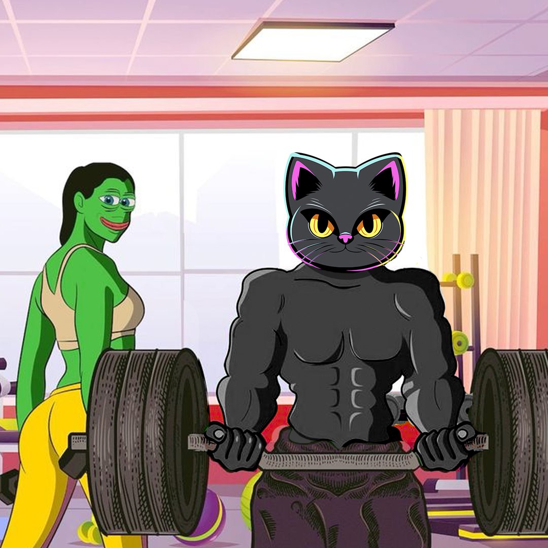 #Nekoin is trying to impress #PEPE's girl at the gym. 🐱

#Solana #memecoin #bitcoin